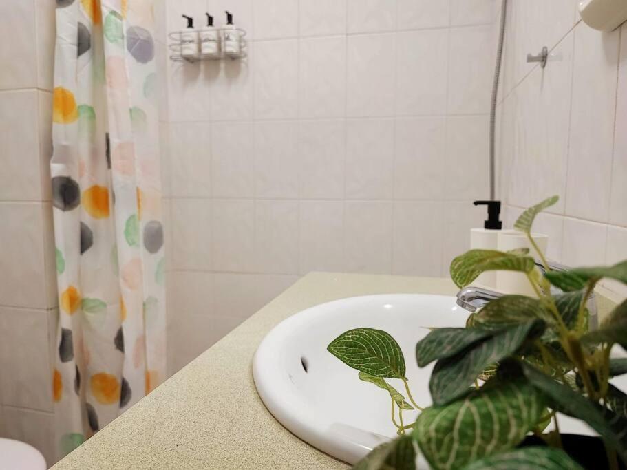Apartament Terrace On Puerto Puerto de la Cruz  Zewnętrze zdjęcie